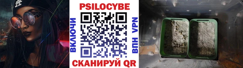 Псилоцибиновые грибы ЛСД  Нижняя Тура 